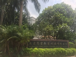 祝東莞高豐木業制品有限公司通過BV  BSCI、FCCA、SCS驗廠