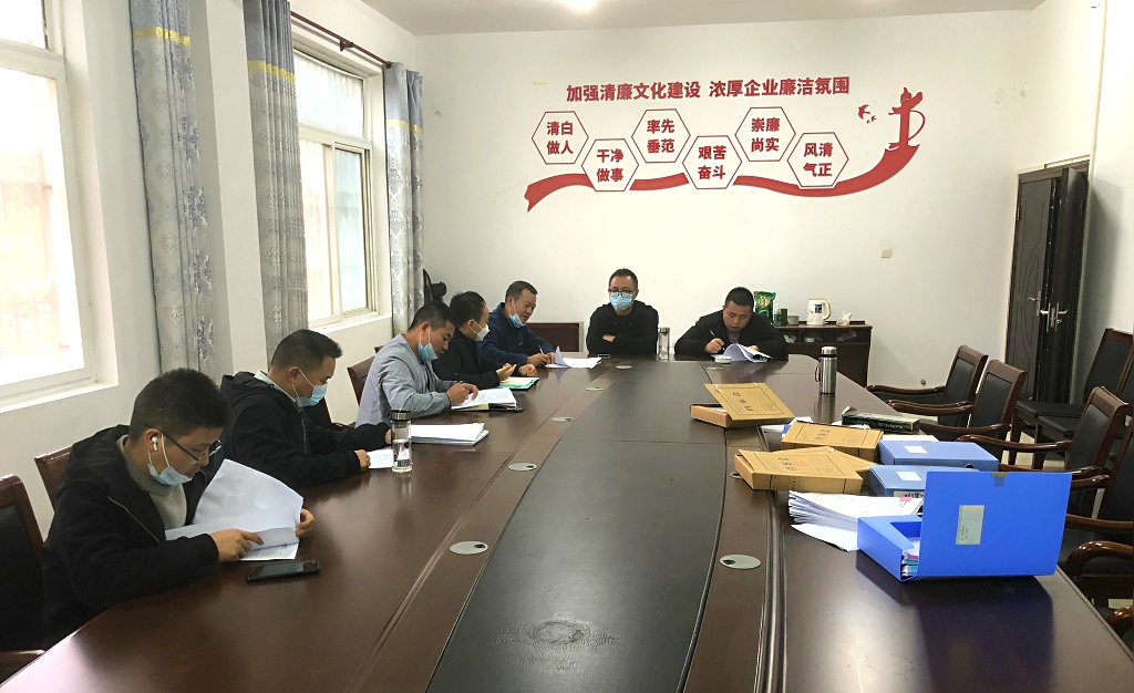 江夏區(qū)靈山工礦廢棄地復(fù)墾利用試點(diǎn)項(xiàng)目一期工程（類壤土噴播工程、主動(dòng)防護(hù)網(wǎng)及掛網(wǎng)栽植工程）竣工初步驗(yàn)收會(huì)議圓滿結(jié)束